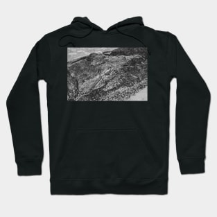 Headshot of the Alligator black and white 2 Hoodie